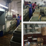 Plating equipment